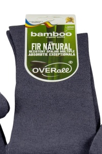 Bamboo - Img 7