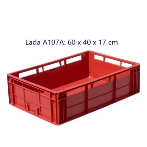 Lada plastic A107A, 60 x 40 x 17 cm