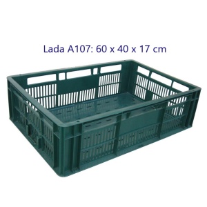 Lada plastic A107, 60 x 40 x 17 cm