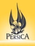 Persica