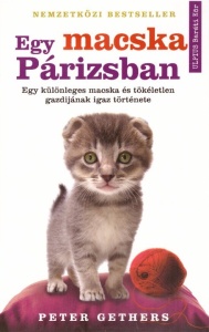 Egy macska Párizsban