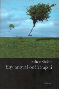Egy angyal önéletrajzai