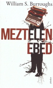 Meztelen ebéd