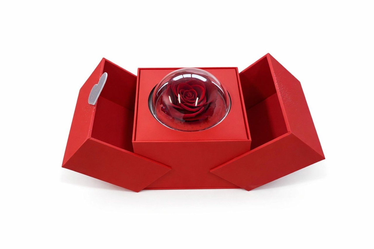 Trandafir criogenat in glob cu cutie rosie 15x14x12 cm, cadou romantic cu compartiment 5
