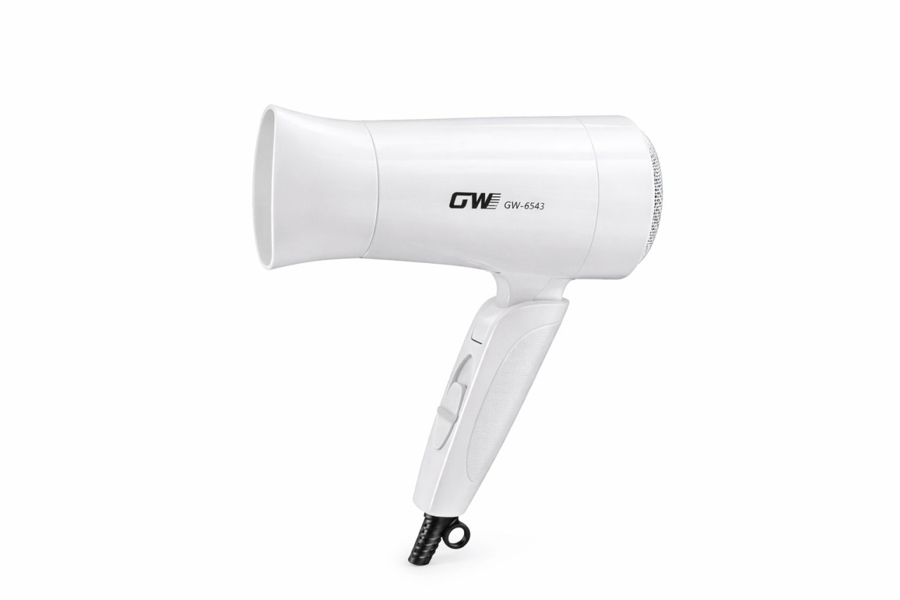 Uscator de par GW-6543, 800W, 2 trepte viteza, design compact, alb 2