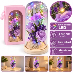Cupolă cu trandafiri mov și LED multicolor, suport din lemn, cutie cadou, 19x7 cm