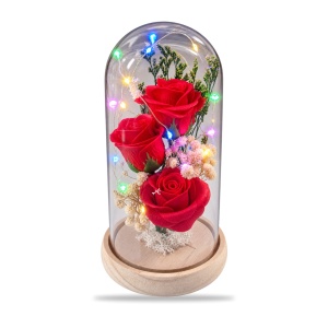 Cupolă cu trandafiri roșii și lumini LED multicolore, suport din lemn, 22 cm - Img 2