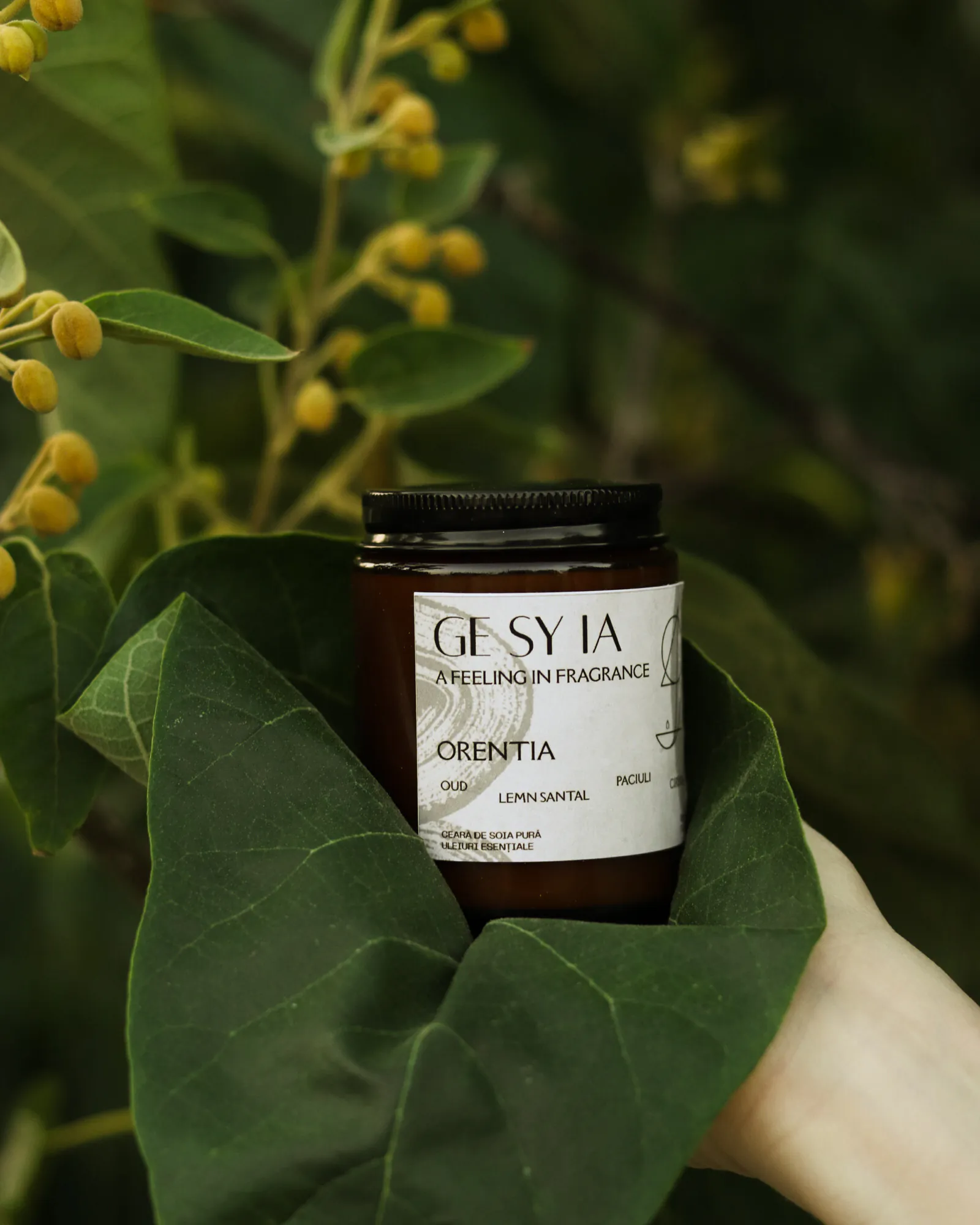 Lumânare Orentia GESYIA