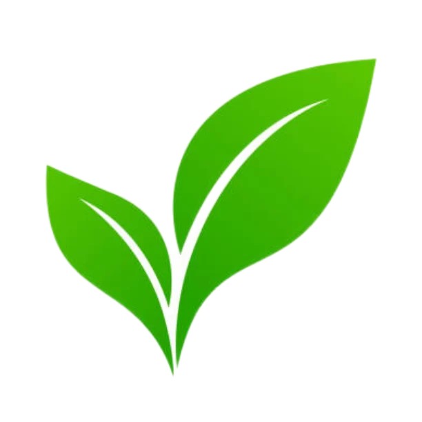 Sere si solarii