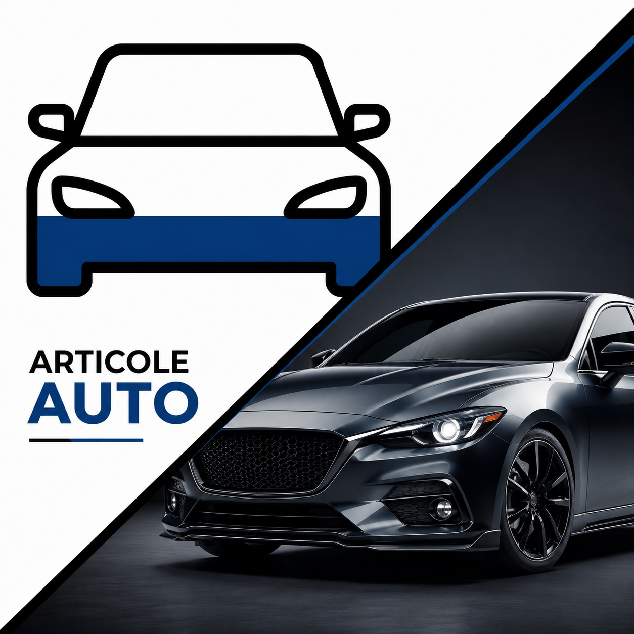 ARTICOLE AUTO