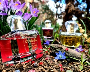 Apă de parfum Avon Celebrate Today Tomorrow Always 50 ml - floral-fructată pentru femei, cu note de neroli, trandafir și mosc, un parfum delicat și luminos, dedicat bucuriei de a trăi și iubirii auten - Img 6