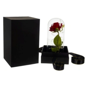 Trandafir criogenat in cupola de sticla cu lumini LED, cadou romantic pentru ocazii speciale, 22 cm, iluminare alb cald - Img 6