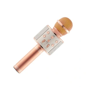 Microfon Bluetooth pentru copii,karaoke,boxa,cablu incarcare USB - Argintiu - Img 9