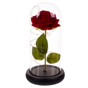 Trandafir criogenat in cupola de sticla cu lumini LED, cadou romantic pentru ocazii speciale, 22 cm, iluminare alb cald