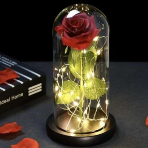 Trandafir criogenat in cupola de sticla cu lumini LED, cadou romantic pentru ocazii speciale, 22 cm, iluminare alb cald - Img 9