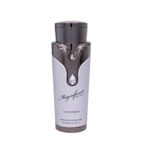 Armaf, Magnificent, Apă de parfum, For Men, 100 ml