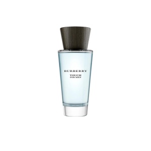 Burberry, Touch, Apă de toaletă, For Men, 100 ml