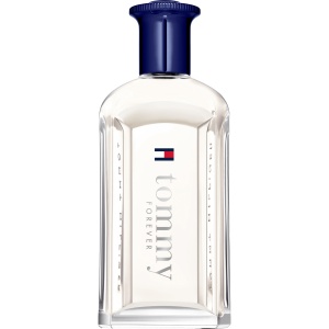 Tommy Hilfiger, Forever, Apă de toaletă, For Men, 50 ml