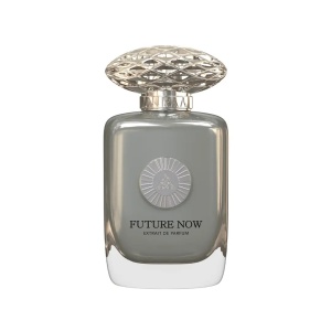 Auraa Desire, Future Now, Extrait De Parfum, Unisex, 100 ml