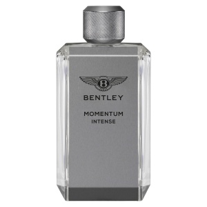 Bentley, Momentum Intense, Apă de parfum, For Men, 100 ml