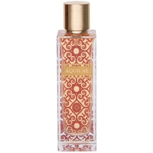 Diane Castel, Aquilae, Apă de parfum, For Women, 100 ml