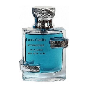 Louis Cardin, Adventure, Apă de parfum, For Men, 100 ml