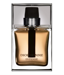 Christian Dior, Dior Homme Intense, Apă de parfum, For Men, 100 ml