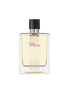 Hermes, Terre d'Hermes Flacon H Limited Edition, Apă de toaletă, For Men, 100 ml