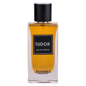 Pendora Scents, Tudor, Apă de parfum, For Men, 100 ml