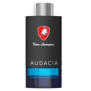 Tonino Lamborghini, Techno Audacia, Apă de toaletă, For Men, 100 ml