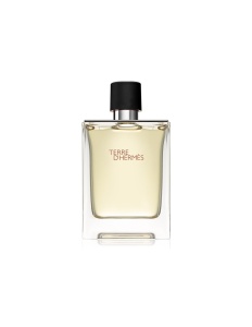 Hermes, Terre d'Hermes, Apă de toaletă, For Men, 100 ml