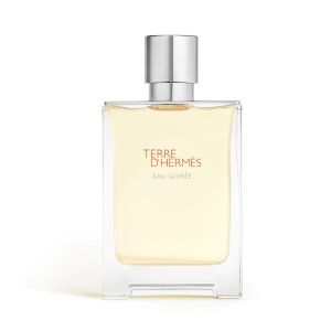 Hermes, Terre d'Hermes Eau Givree, Apă de parfum, For Men, Refillable, 100 ml
