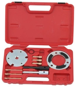 Set scule întreținerea arbore cu came potrivit FORD; JAGUAR; LDV, 2.0/2.2/2.4/TDCi/TDDi, timing chain,, OE: 21-238 PROFITOOL