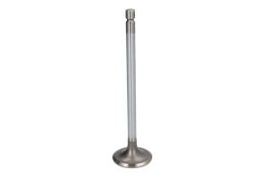 Supapa admisie CUMMINS JCB FASTRAC QSB6.7 dupa 2010 dupa 2010 - (33x7x125mm) - Original OE