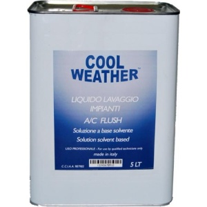 Lichid spalare instalatie AC 5 L Magneti Marelli