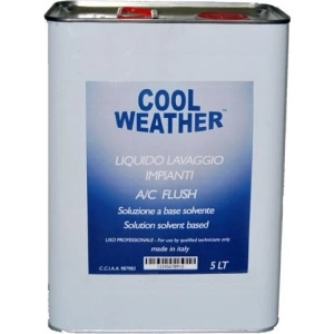 Lichid spalare instalatie AC 5 L Magneti Marelli