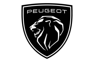 Cuzineti biela PEUGEOT 207, 308 I 2007-2014 - Original OE