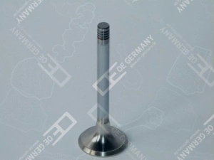 Supapa evacuare SCANIA G I, IRIZAR PB, K I, OMNIEXPRESS, P I, R I DC09.108-DC9.39 dupa 2004 dupa 2004 - (41x10x172mm) - Original OE