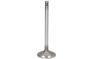 Supapa admisie VOLVO DEUTZ FAHR AGROTRON BF6L1013E-BF6M2012C dupa 1995 - (48x9x139mm) - Original OE
