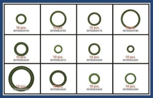 Set O-ringuri 120 bucati Magneti Marelli