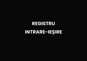 Registru intrare-ieșire A4 - copertă rigidă - Img 2