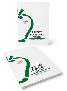 Raport de gestiune periodic A4, autocopiativ