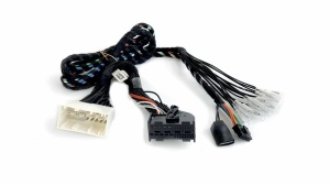 Cablu Plug&Play APBMW REAMP 2
