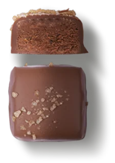 Crunchy Square