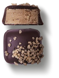Dark Fudge