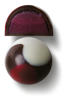 Cherry Bloom