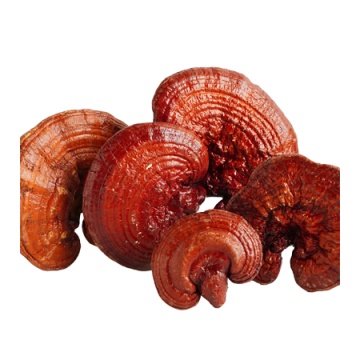 Ciocolată Funcțională 'Mindfulness' cu Reishi și Ashwagandha (30g) - Img 3