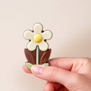 Spring Little Daisy - Img 2
