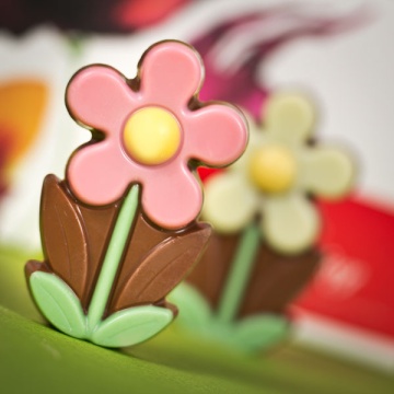 Ciocolată în formă de margarete Little Daisy - Img 4