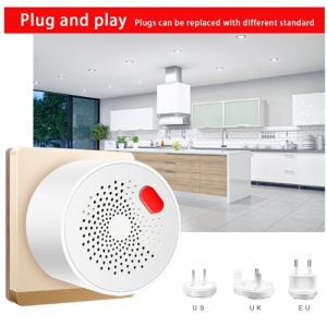 prezentare functii detector gaz techstar smart